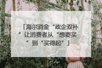 海尔消金“政企双补”让消费者从“想要买”到“买得起”