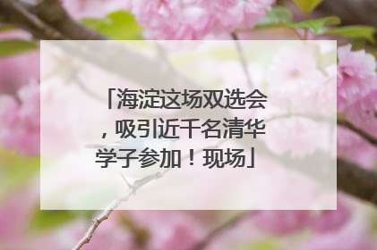 海淀这场双选会，吸引近千名清华学子参加！现场