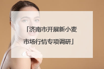 济南市开展新小麦市场行情专项调研