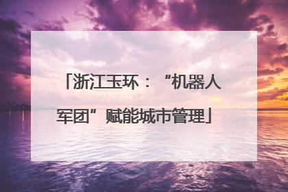 浙江玉环：“机器人军团”赋能城市管理