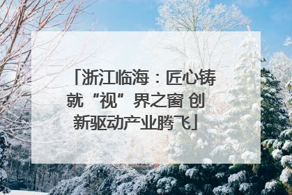 浙江临海：匠心铸就“视”界之窗 创新驱动产业腾飞