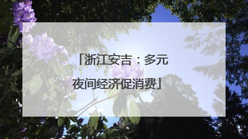 浙江安吉：多元夜间经济促消费