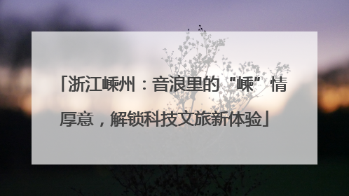 浙江嵊州：音浪里的“嵊”情厚意，解锁科技文旅新体验