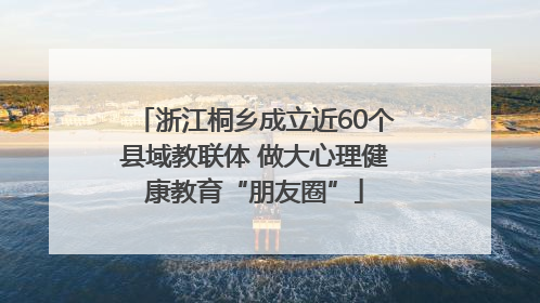 浙江桐乡成立近60个县域教联体 做大心理健康教育“朋友圈”