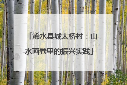 浠水县城太桥村：山水画卷里的振兴实践