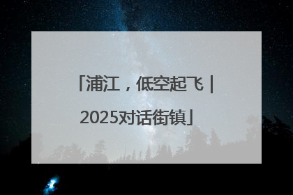 浦江，低空起飞｜2025对话街镇