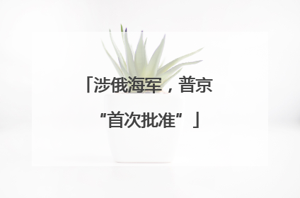 涉俄海军，普京“首次批准”
