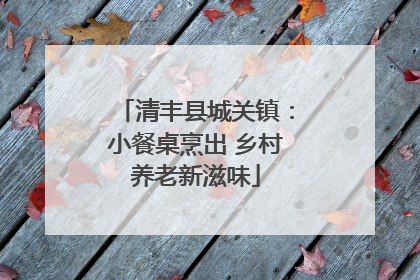 清丰县城关镇：小餐桌烹出 乡村养老新滋味