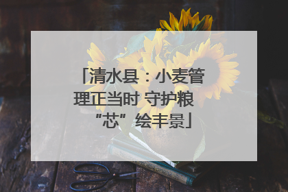 清水县：小麦管理正当时 守护粮“芯”绘丰景
