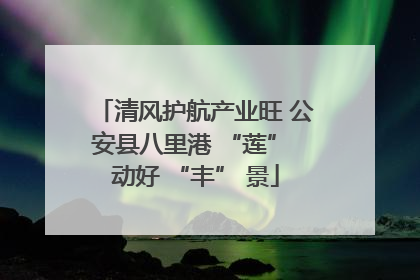 清风护航产业旺 公安县八里港 “莲” 动好 “丰” 景