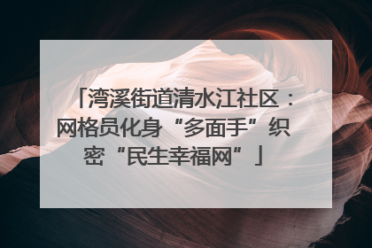 湾溪街道清水江社区：网格员化身“多面手”织密“民生幸福网”