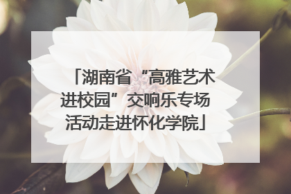 湖南省“高雅艺术进校园”交响乐专场活动走进怀化学院