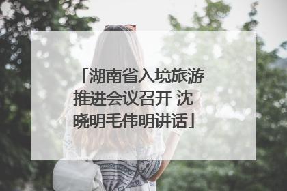 湖南省入境旅游推进会议召开 沈晓明毛伟明讲话
