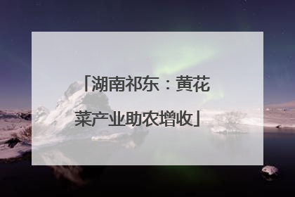 湖南祁东：黄花菜产业助农增收