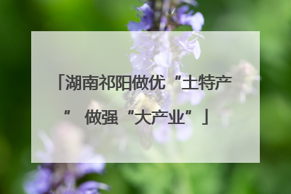 湖南祁阳做优“土特产” 做强“大产业”