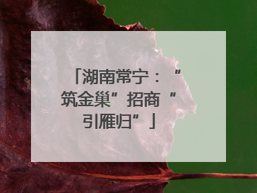 湖南常宁：“筑金巢”招商“引雁归”