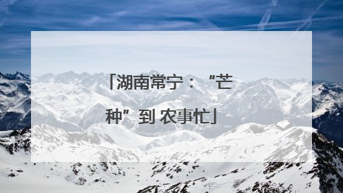湖南常宁：“芒种”到 农事忙