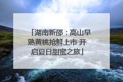 湖南新邵：高山早熟黄桃抢鲜上市 开启夏日甜蜜之旅