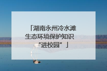 湖南永州冷水滩生态环境保护知识“进校园”