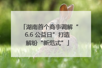 湖南首个商事调解“6.6 公益日”打造解纷“新范式”