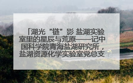 湖光“链”影 盐湖实验室里的星辰与荒原——记中国科学院青海盐湖研究所，盐湖资源化学实验室党总支书记、副主任刘忠