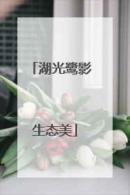 湖光鹭影生态美