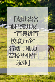 湖北省各地持续开展“百县进百校联万企”行动，助力高校毕业生就业