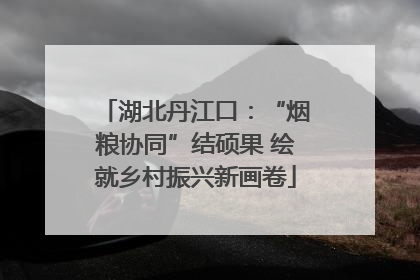 湖北丹江口：“烟粮协同”结硕果 绘就乡村振兴新画卷