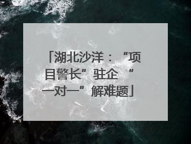 湖北沙洋：“项目警长”驻企 “一对一”解难题