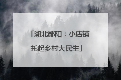 湖北郧阳：小店铺托起乡村大民生