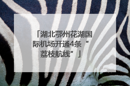 湖北鄂州花湖国际机场开通4条“荔枝航线”