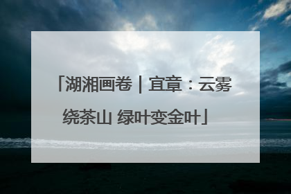 湖湘画卷｜宜章：云雾绕茶山 绿叶变金叶