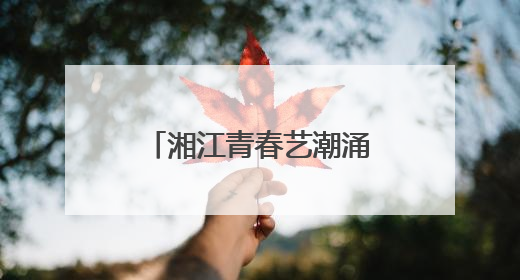 湘江青春艺潮涌：第六届湖南高校毕业季美展启幕