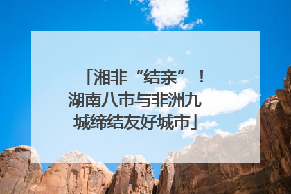 湘非“结亲”！湖南八市与非洲九城缔结友好城市