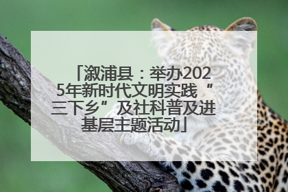 溆浦县：举办2025年新时代文明实践“三下乡”及社科普及进基层主题活动