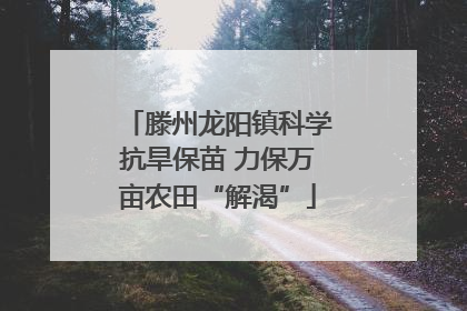 滕州龙阳镇科学抗旱保苗 力保万亩农田“解渴”