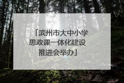 滨州市大中小学思政课一体化建设推进会举办