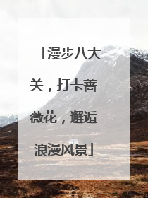 漫步八大关，打卡蔷薇花，邂逅浪漫风景