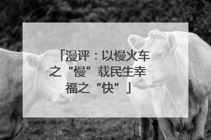 漫评：以慢火车之“慢”载民生幸福之“快”