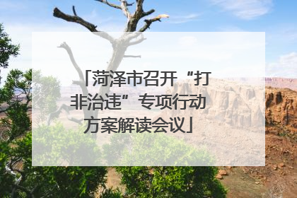 菏泽市召开“打非治违”专项行动方案解读会议