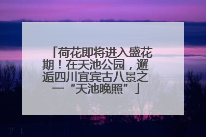 荷花即将进入盛花期！在天池公园，邂逅四川宜宾古八景之一“天池晚照”