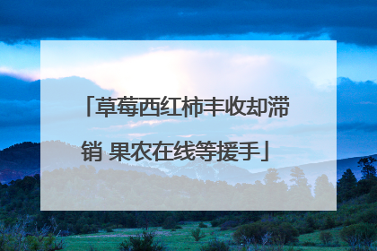 草莓西红柿丰收却滞销 果农在线等援手