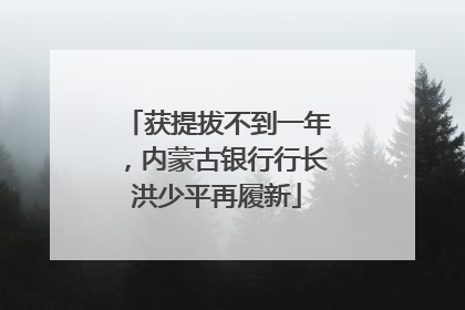 获提拔不到一年，内蒙古银行行长洪少平再履新