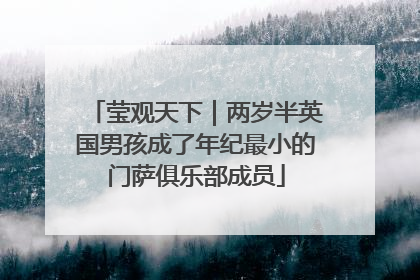 莹观天下｜两岁半英国男孩成了年纪最小的门萨俱乐部成员