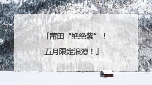 莆田“绝绝紫”！五月限定浪漫！