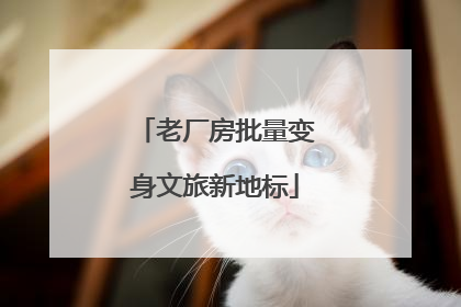 老厂房批量变身文旅新地标