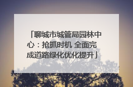 聊城市城管局园林中心：抢抓时机 全面完成道路绿化优化提升