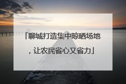聊城打造集中晾晒场地，让农民省心又省力