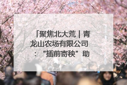 聚焦北大荒｜青龙山农场有限公司：“插前寄秧”助力农业节本增效