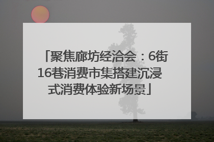 聚焦廊坊经洽会：6街16巷消费市集搭建沉浸式消费体验新场景